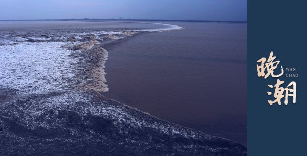 申宝策略 晚潮|借书不还, 算是偷吗
