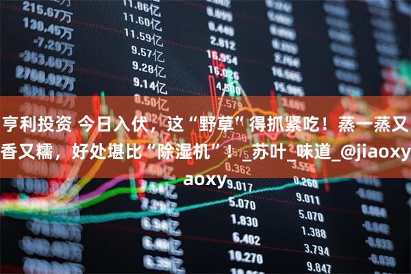 亨利投资 今日入伏，这“野草”得抓紧吃！蒸一蒸又香又糯，好处堪比“除湿机”！_苏叶_味道_@jiaoxy