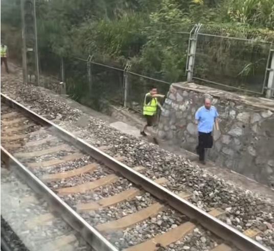 金多多 网友发视频列车疑撞野猪临停，3名工作人员一起抬死猪；相关方回应：尚不清楚具体情况