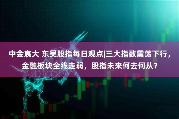 中金宸大 东吴股指每日观点|三大指数震荡下行，金融板块全线走弱，股指未来何去何从？