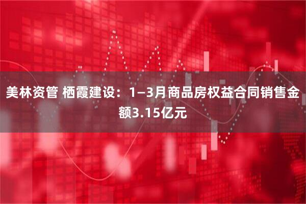 美林资管 栖霞建设：1—3月商品房权益合同销售金额3.15亿元